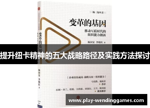 提升纽卡精神的五大战略路径及实践方法探讨 提升纽卡精神的五大战略路径及实践方法探讨