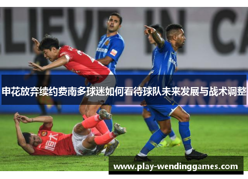 申花放弃续约费南多球迷如何看待球队未来发展与战术调整 申花放弃续约费南多球迷如何看待球队未来发展与战术调整