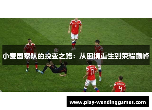 小麦国家队的蜕变之路：从困境重生到荣耀巅峰
