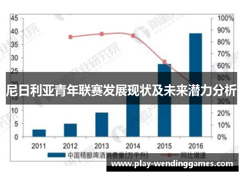 尼日利亚青年联赛发展现状及未来潜力分析